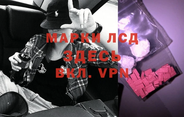 стафф Майский