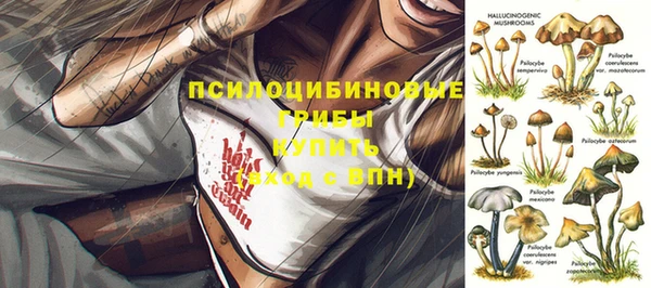амф Лихославль