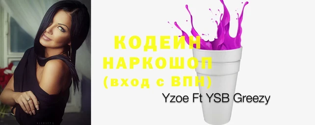 шишки Лиски