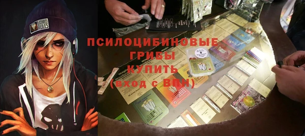 стафф Майский