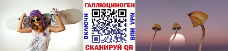 мега ССЫЛКА  сколько стоит  Ярославль  Галлюциногенные грибы мухоморы 