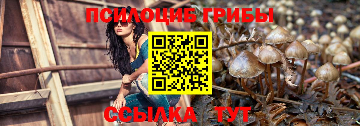 Псилоцибиновые грибы прущие грибы Ярославль