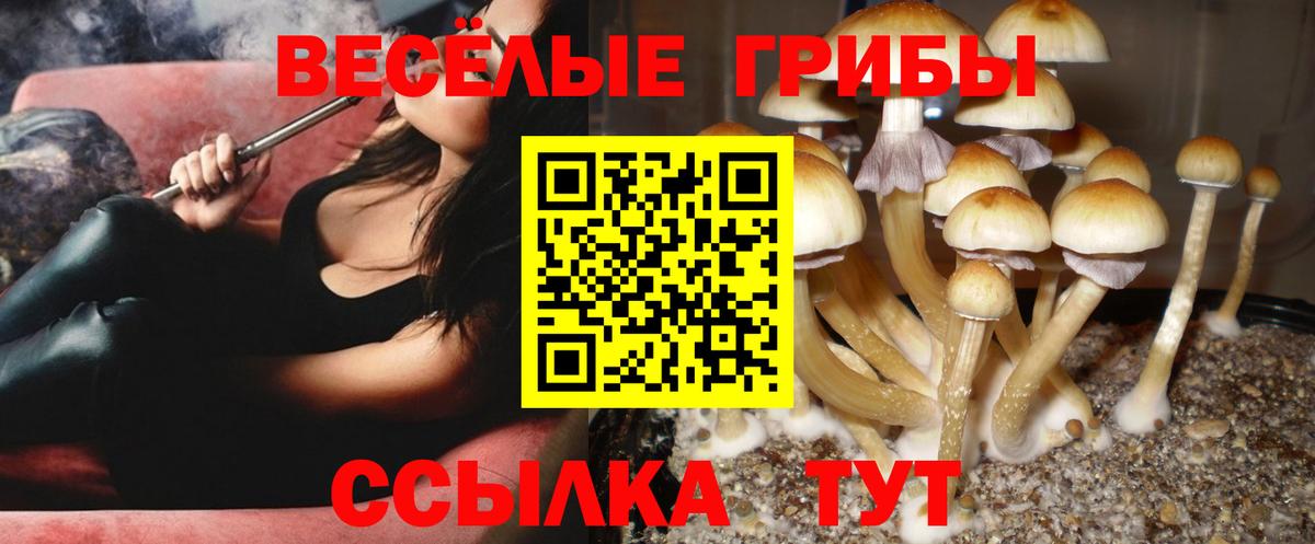 Ярославль  Псилоцибиновые грибы GOLDEN TEACHER  Галлюциногенные грибы Magic Shrooms  Вход с VPN 