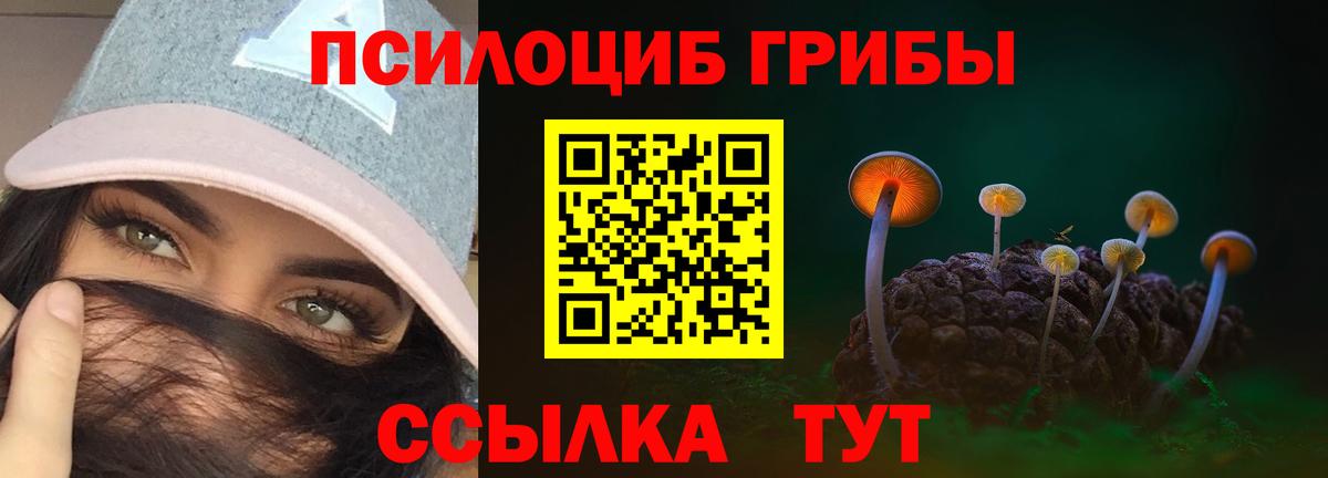 Галлюциногенные грибы прущие грибы  Ярославль  Псилоцибиновые грибы мухоморы 